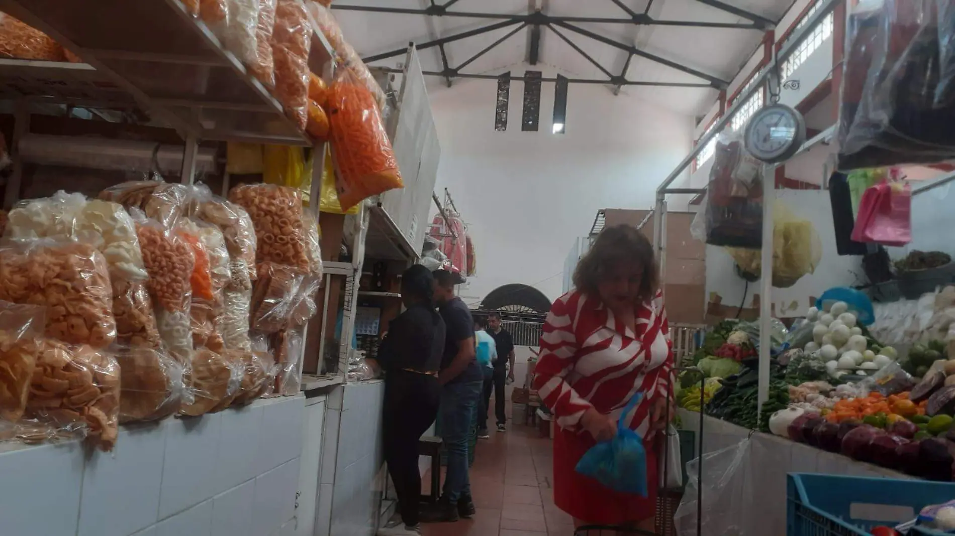 Mercado Jiquilpan 1